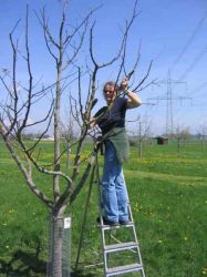 Arbeitseinsatz  2005 06